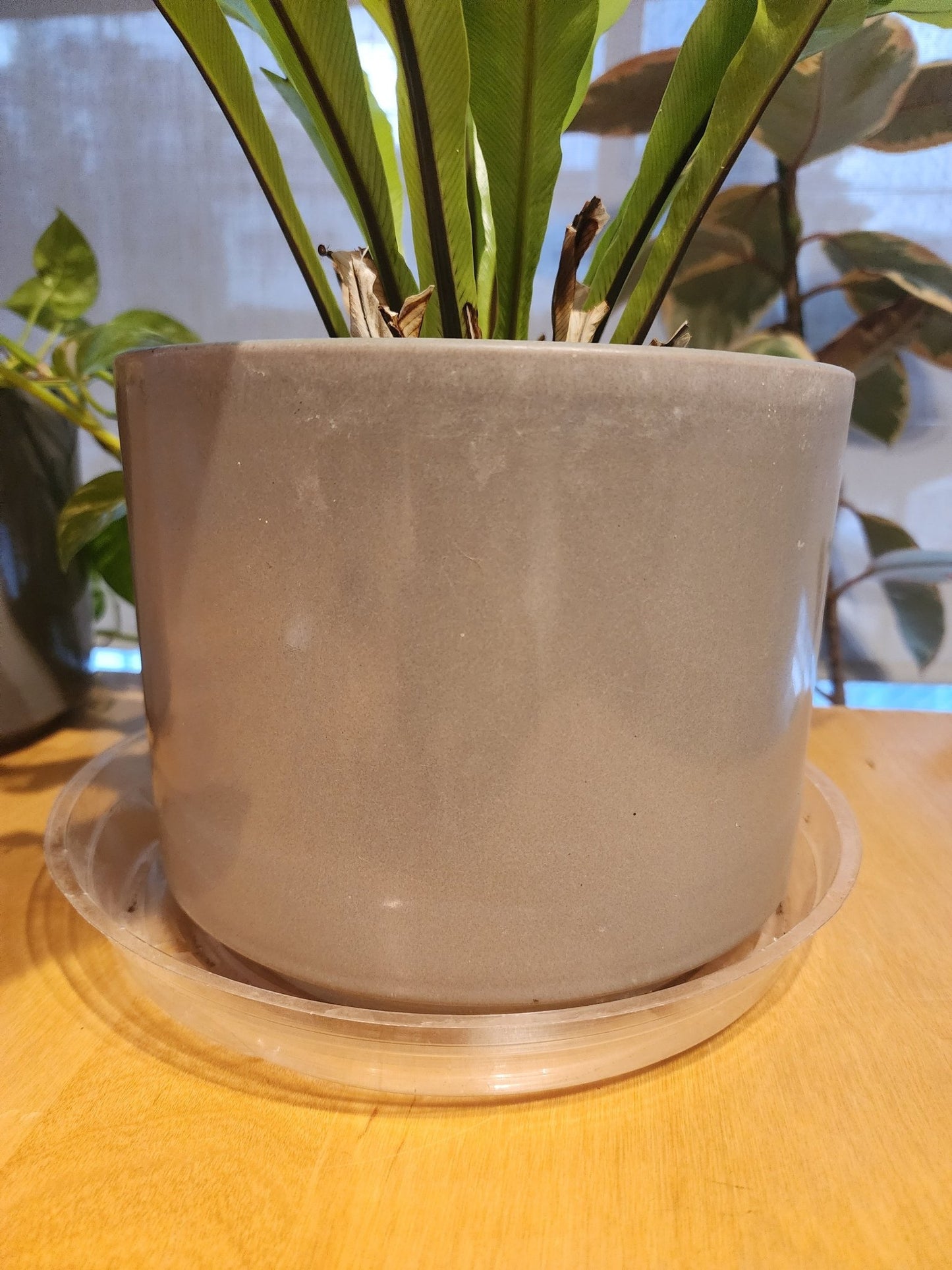 Gainey Mid Century Gray Planter Pot - MCMODSTORE