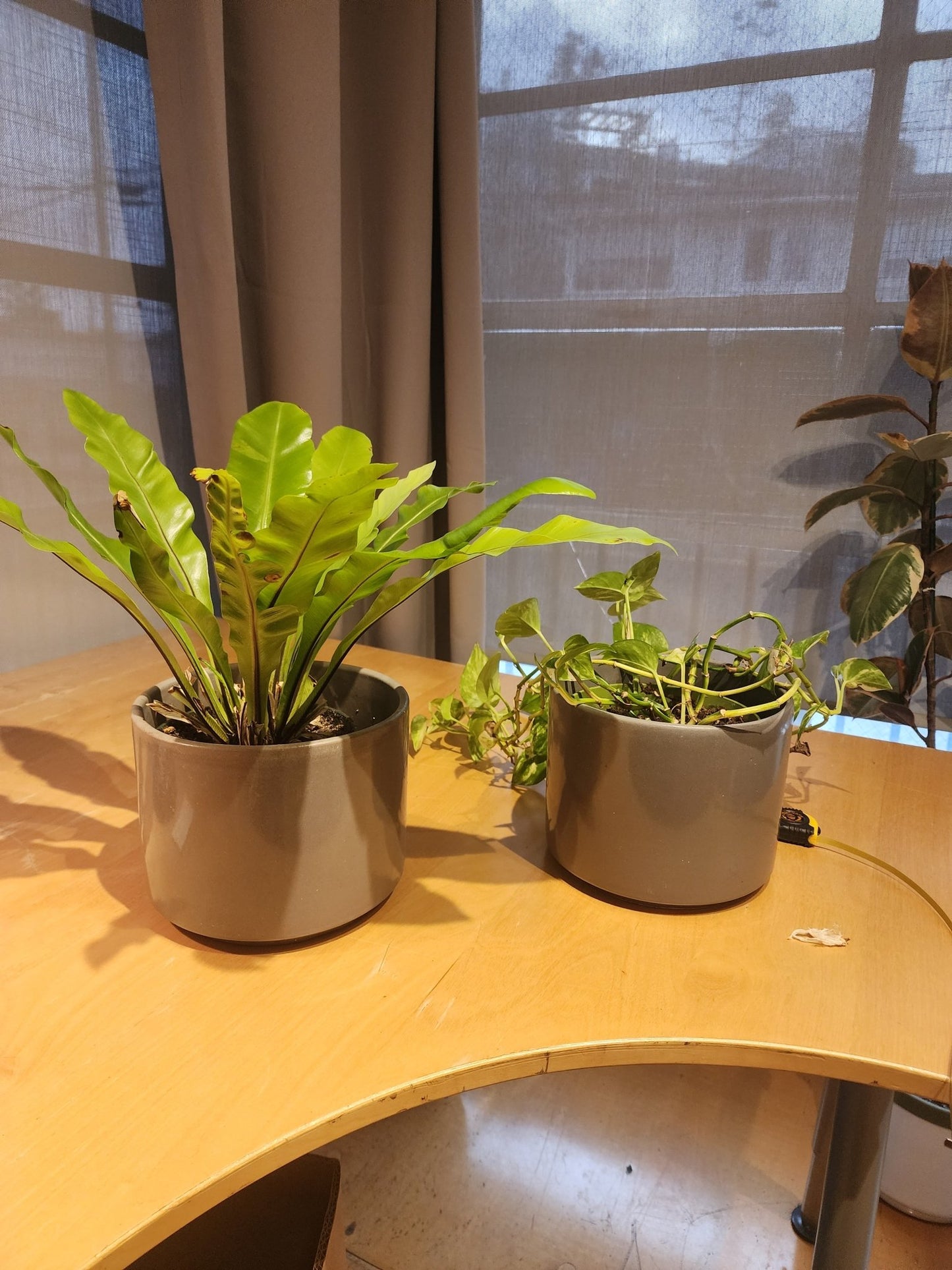 Gainey Mid Century Gray Planter Pot - MCMODSTORE