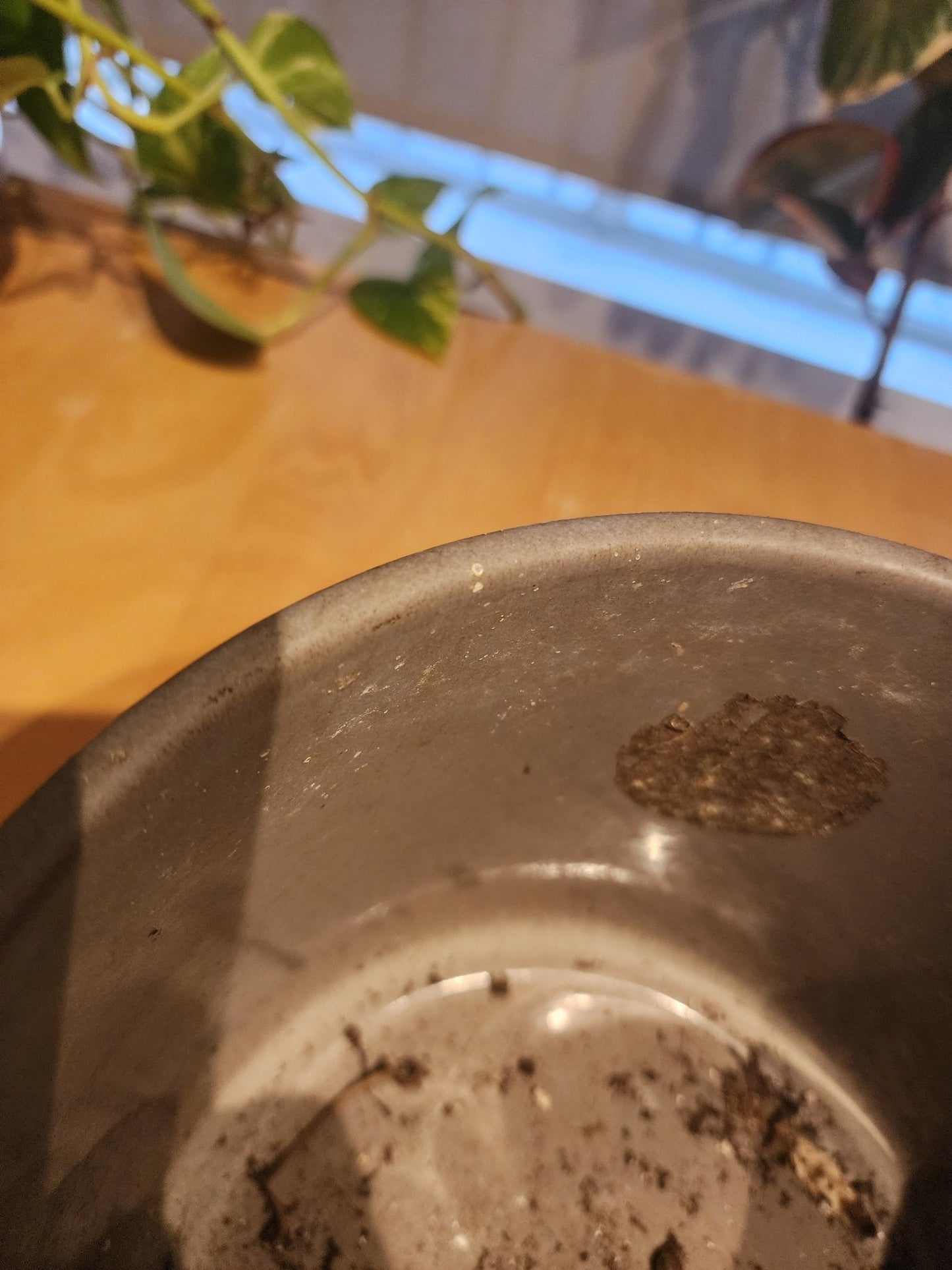 Gainey Mid Century Gray Planter Pot - MCMODSTORE