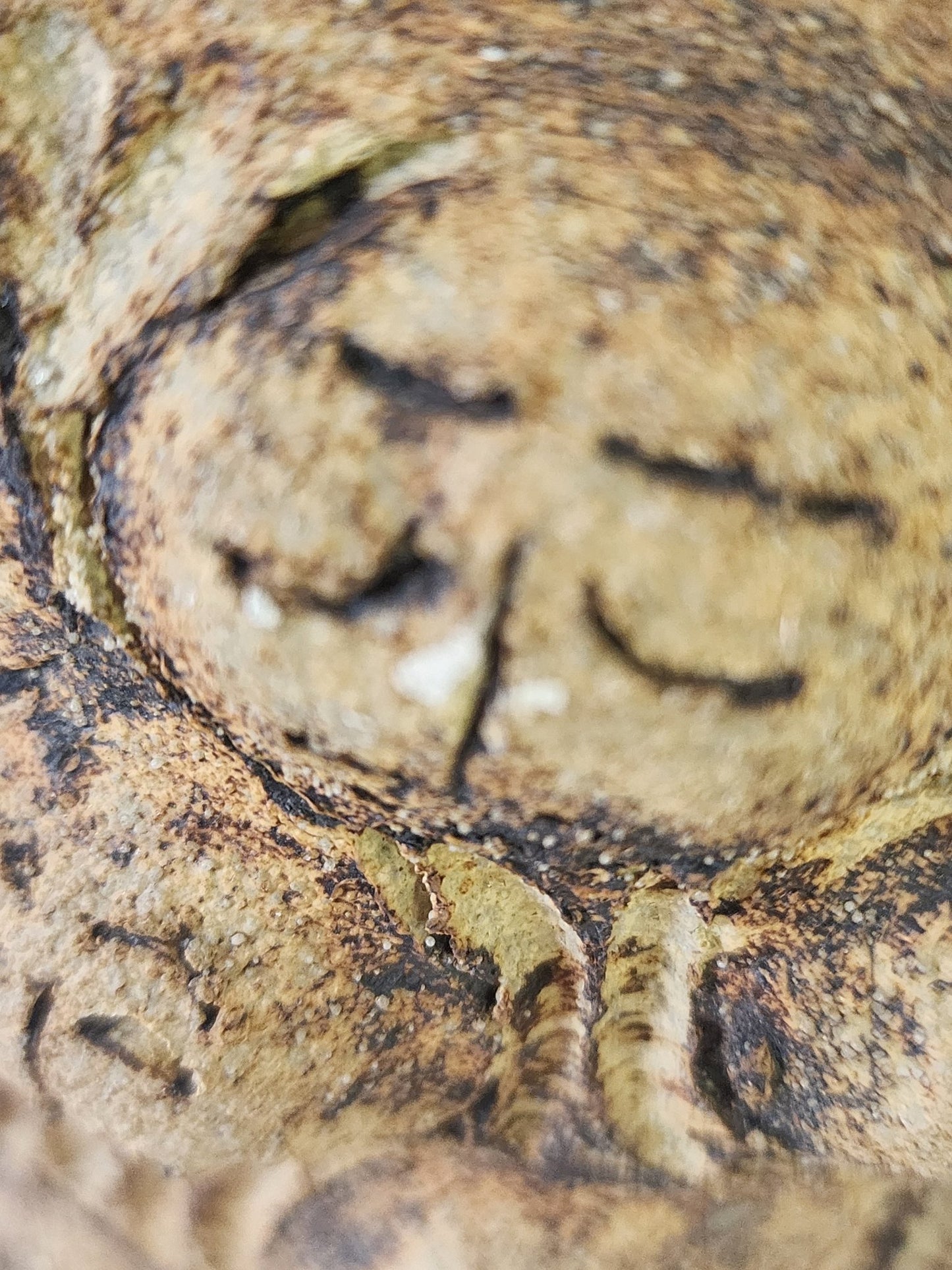 Very Rare Art Pottery from Fred Wilson Studio - MCMODSTORE