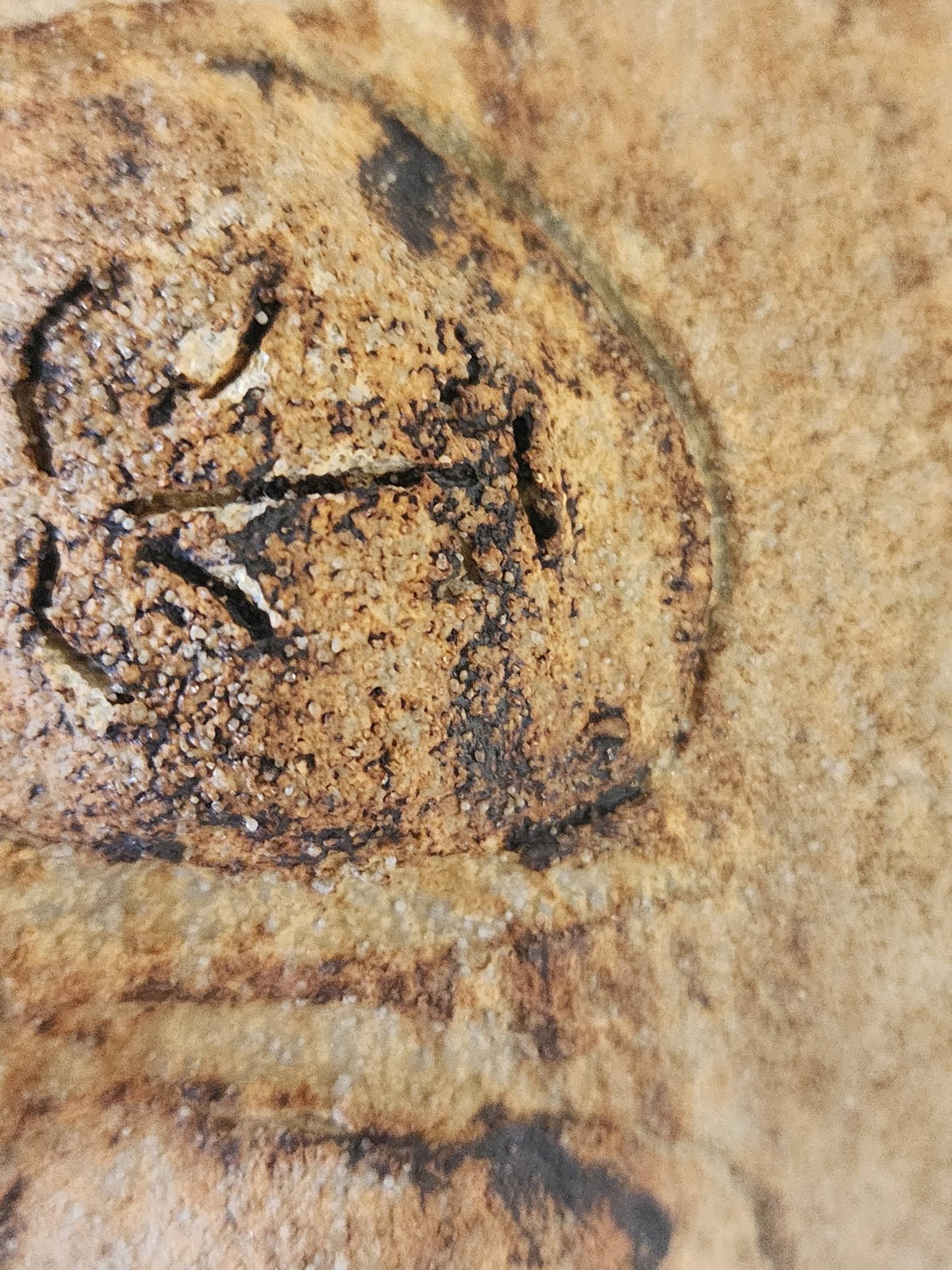 Very Rare Art Pottery from Fred Wilson Studio - MCMODSTORE