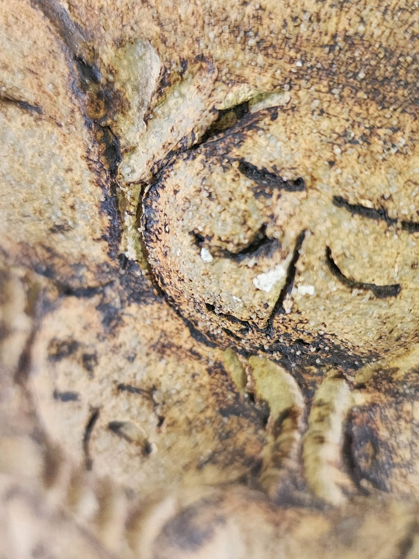 Very Rare Art Pottery from Fred Wilson Studio - MCMODSTORE