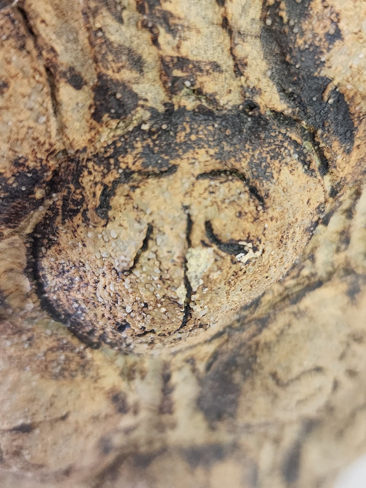 Very Rare Art Pottery from Fred Wilson Studio - MCMODSTORE