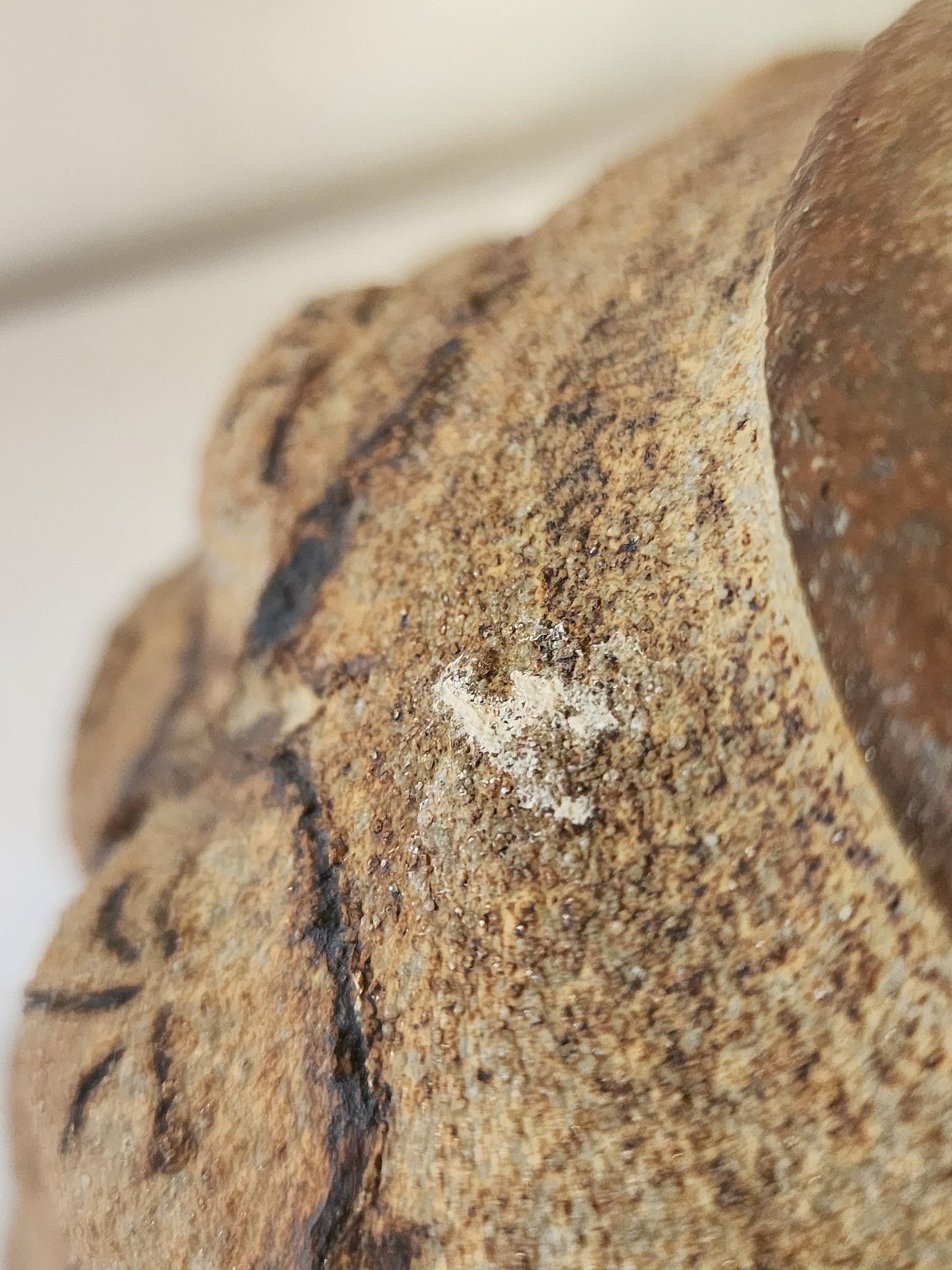 Very Rare Art Pottery from Fred Wilson Studio - MCMODSTORE