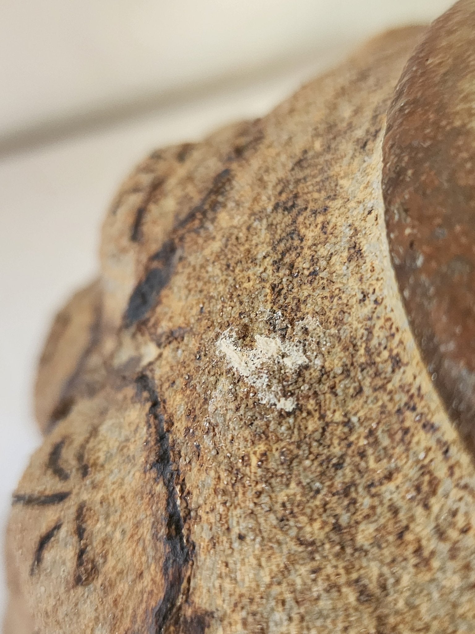 Very Rare Art Pottery from Fred Wilson Studio - MCMODSTORE